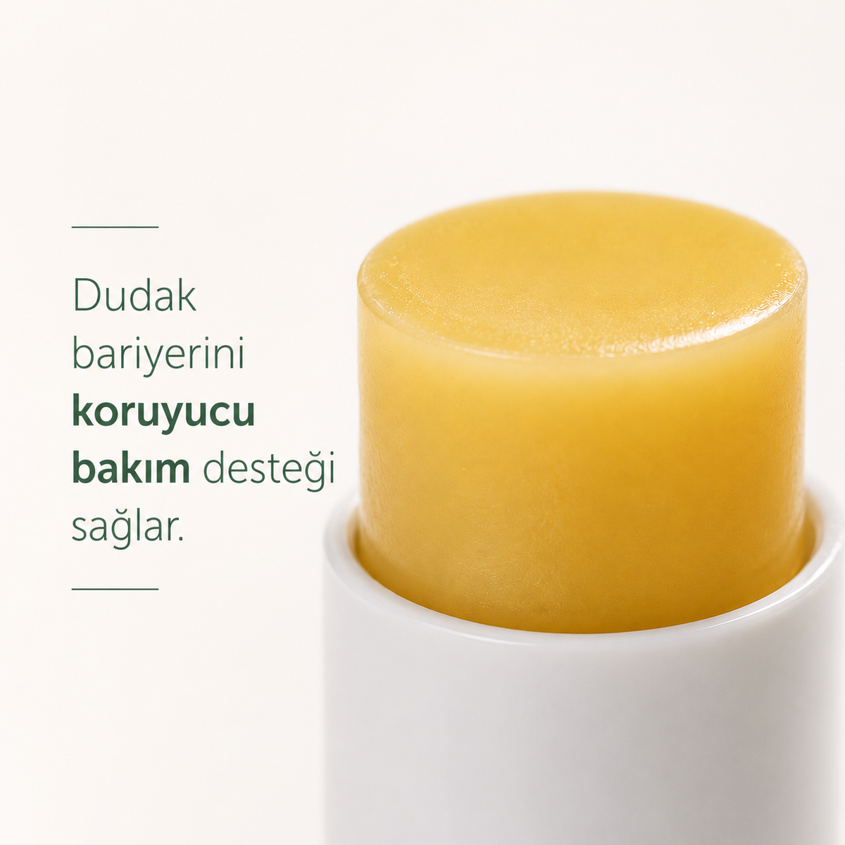 Doğal Dudak Kremi Koruyucu ve Nemlendirici Lip Balm 5 ml